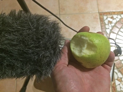Pomme croquée 1