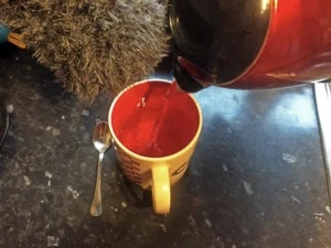 Eau chaude dans mug