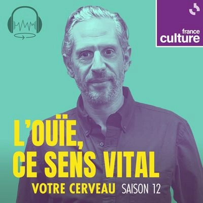 Fc votrecerveau s12 l ouie ce sens vital