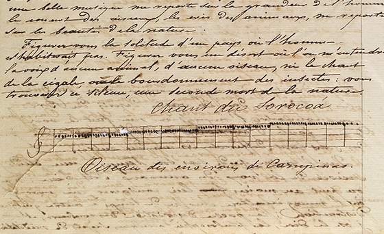 Une partition zoophonique de Hercule Florence
