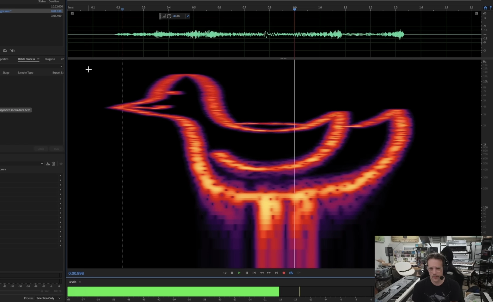 Un oiseau sur synthétiseur spectral