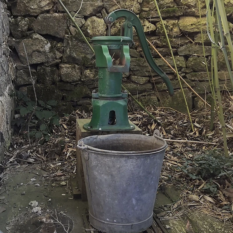 Pompe à bras