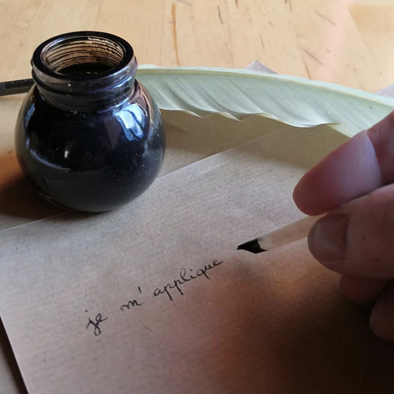 Plume (écriture)